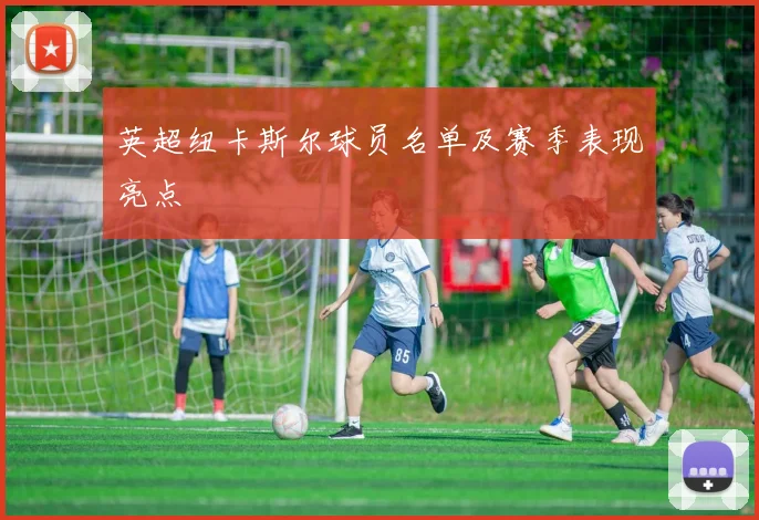 英超纽卡斯尔球员名单及赛季表现亮点