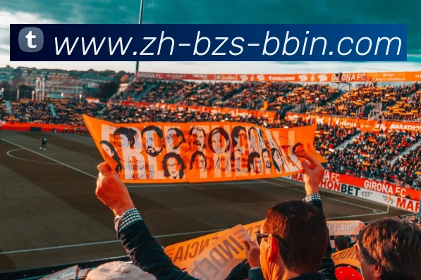 bbin宝盈平台生态图